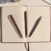 Instrument za pisanje u monokromatskoj bordo izvedbi kao simbol poslovnog napretka. Instrument za pisanje u monokromatskoj bordo izvedbi kao simbol poslovnog napretka.